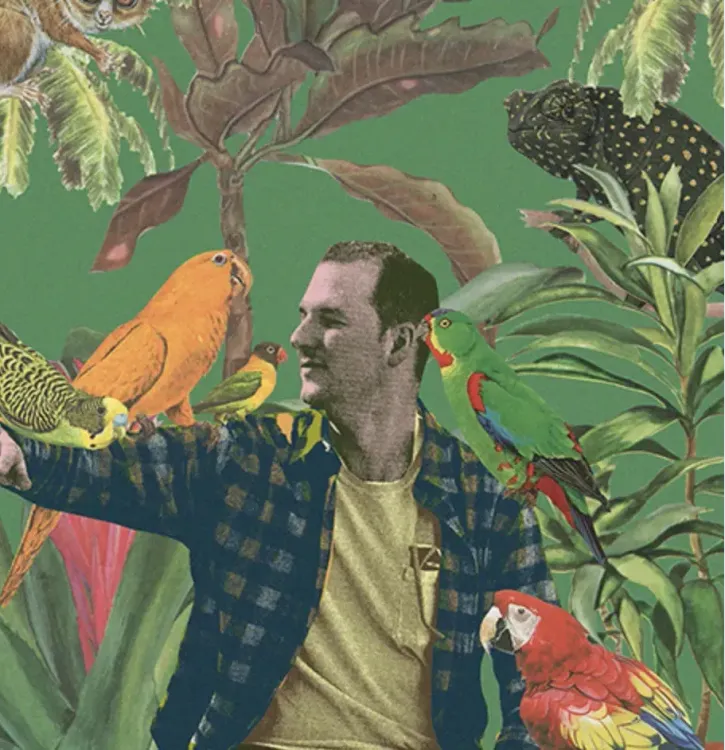 Il n'y a pas d'image pour ce contenu