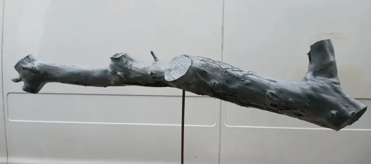 Il n'y a pas d'image pour ce contenu