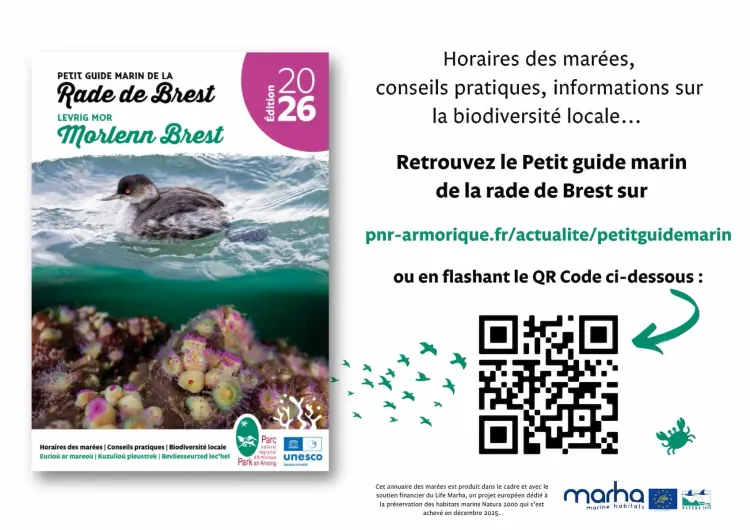 Il n'y a pas d'image pour ce contenu