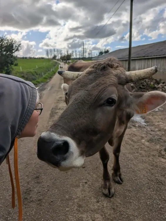 Il n'y a pas d'image pour ce contenu