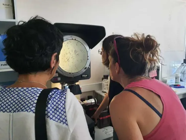 Il n'y a pas d'image pour ce contenu