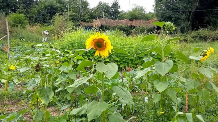 Il n'y a pas d'image pour ce contenu