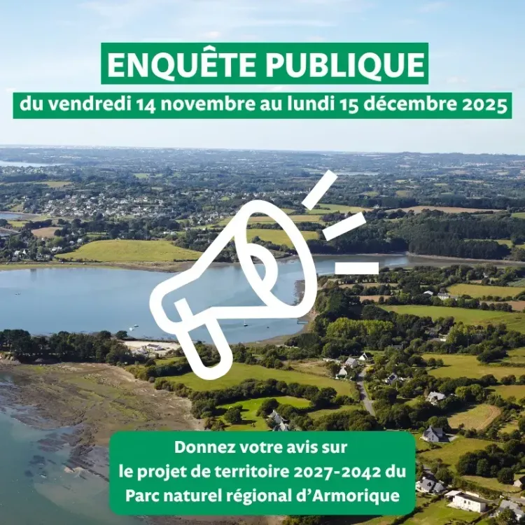 Il n'y a pas d'image pour ce contenu