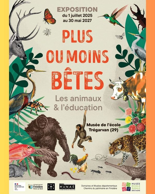 Il n'y a pas d'image pour ce contenu