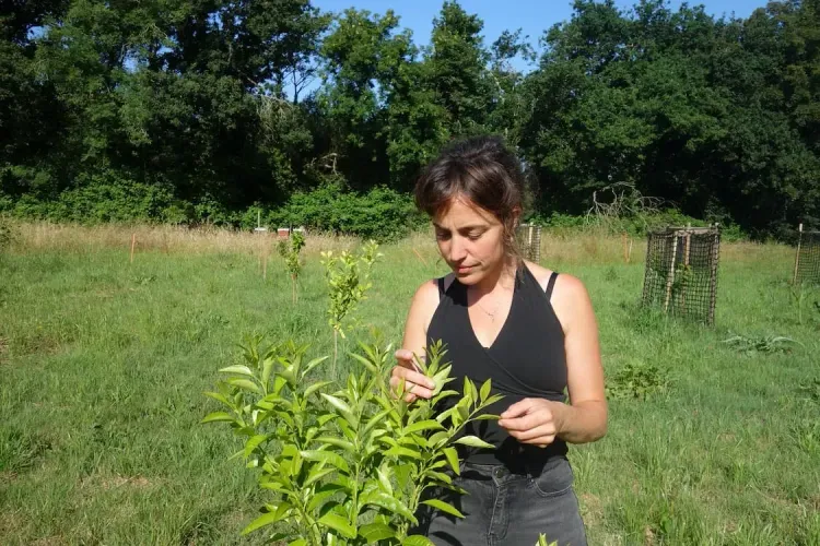 Il n'y a pas d'image pour ce contenu