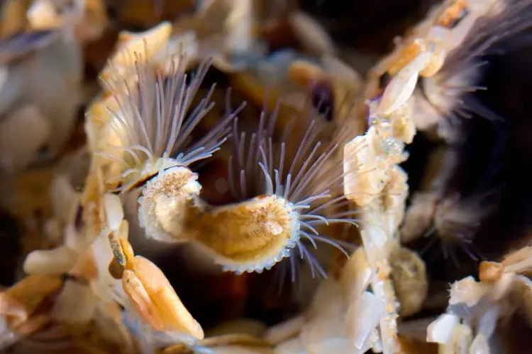 Il n'y a pas d'image pour ce contenu