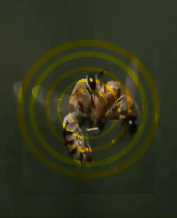 Il n'y a pas d'image pour ce contenu