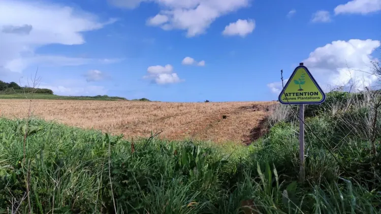 Il n'y a pas d'image pour ce contenu