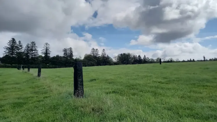 Il n'y a pas d'image pour ce contenu