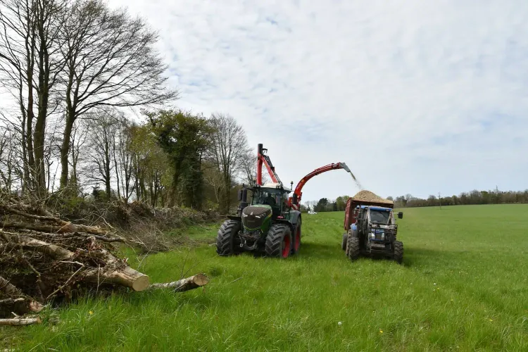 Il n'y a pas d'image pour ce contenu