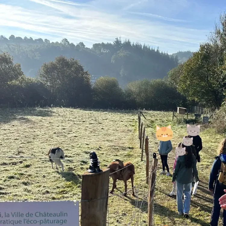 Il n'y a pas d'image pour ce contenu