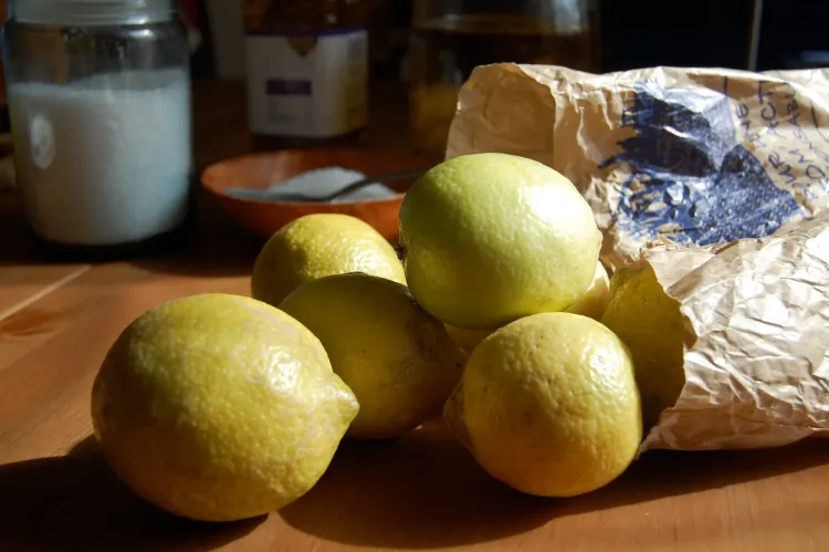 Il n'y a pas d'image pour ce contenu