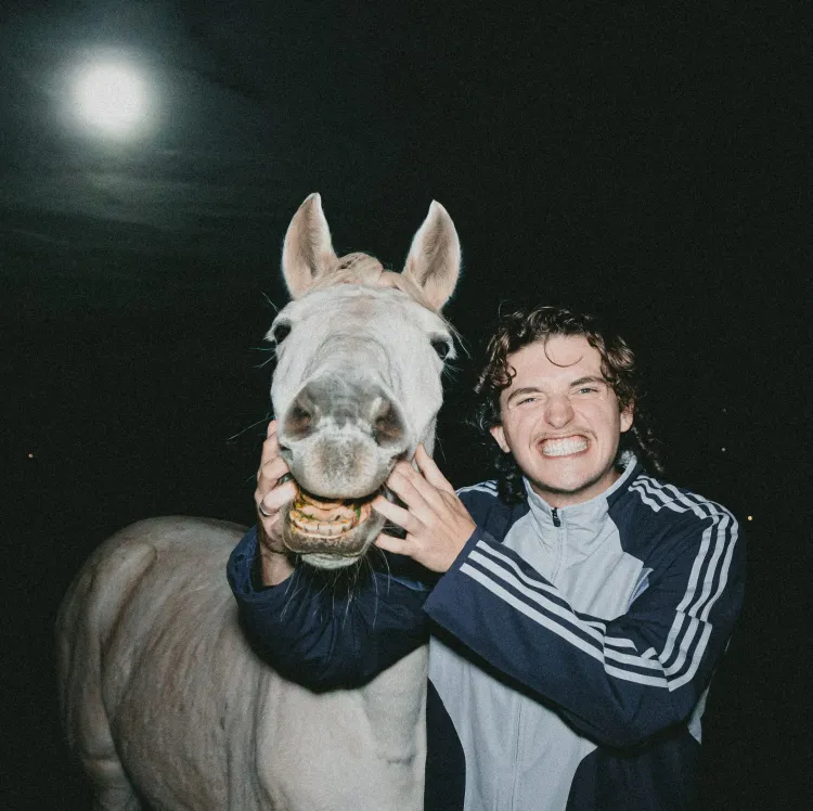 Il n'y a pas d'image pour ce contenu