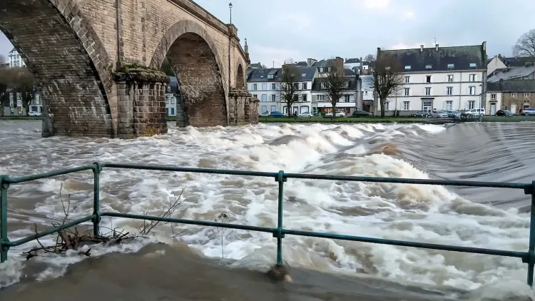 Il n'y a pas d'image pour ce contenu