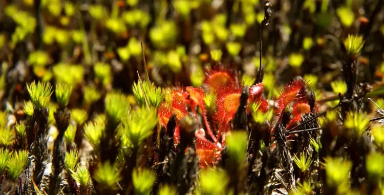 Il n'y a pas d'image pour ce contenu