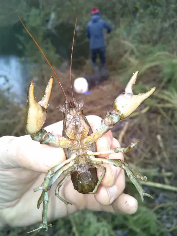 Il n'y a pas d'image pour ce contenu