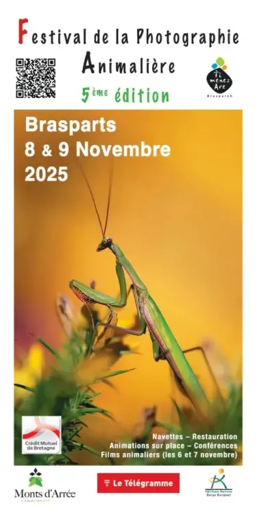 Il n'y a pas d'image pour ce contenu