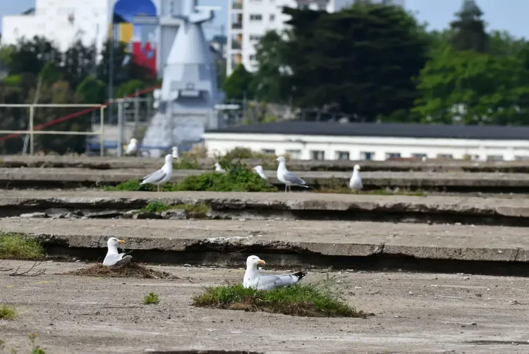 Il n'y a pas d'image pour ce contenu