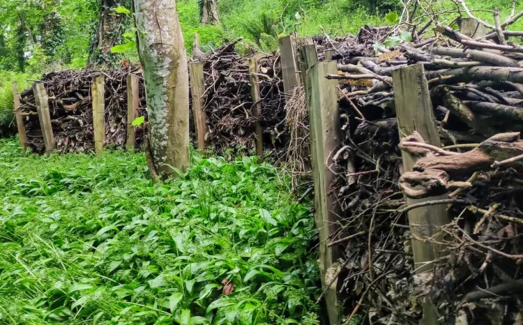 Il n'y a pas d'image pour ce contenu