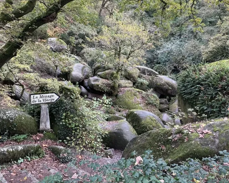 Il n'y a pas d'image pour ce contenu