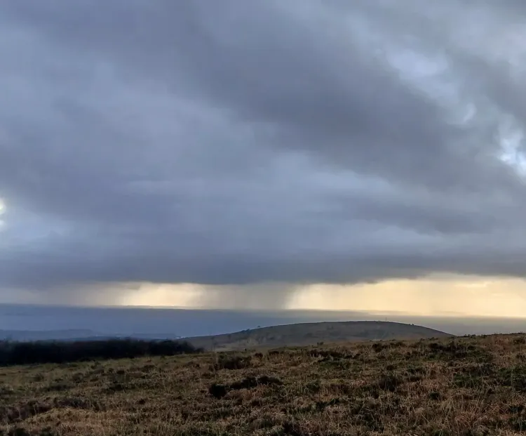 Il n'y a pas d'image pour ce contenu