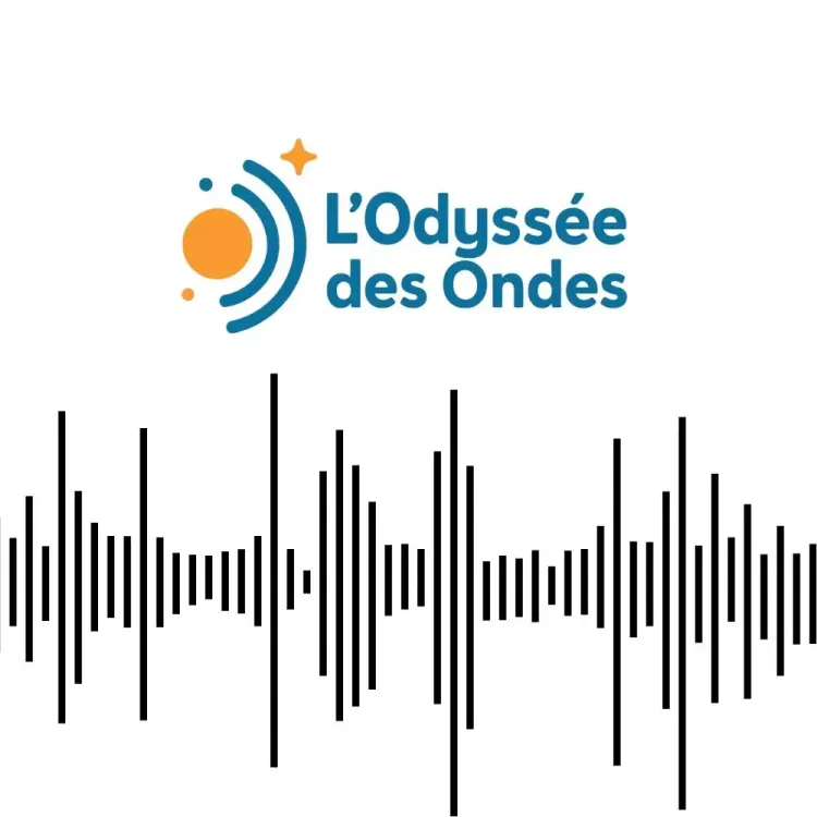 Il n'y a pas d'image pour ce contenu