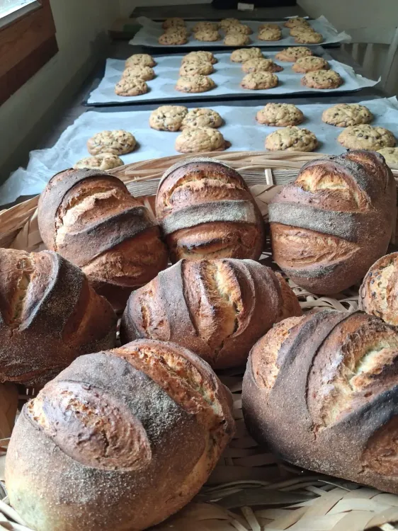 Il n'y a pas d'image pour ce contenu