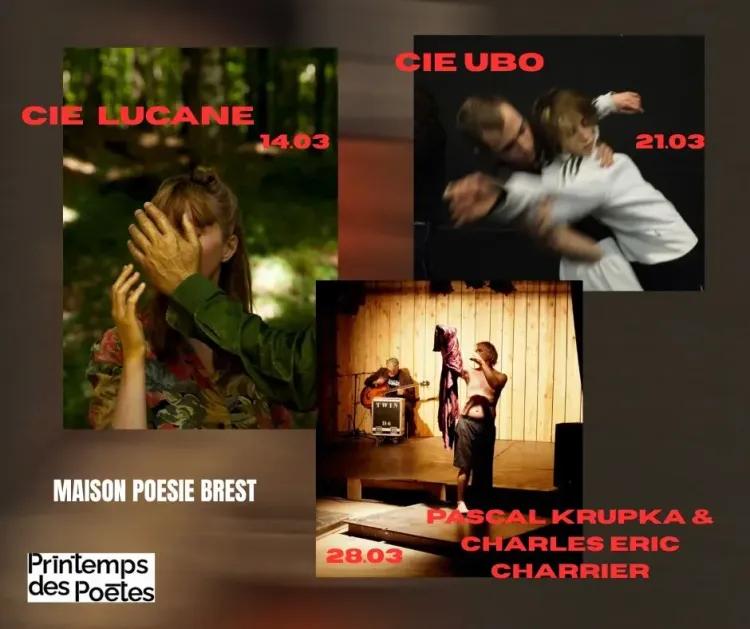 Il n'y a pas d'image pour ce contenu