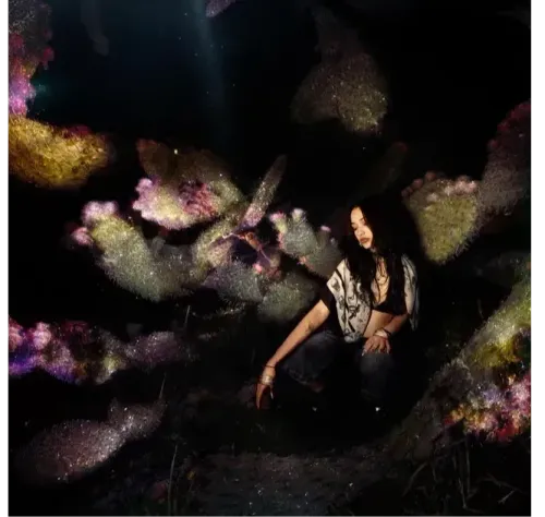 Il n'y a pas d'image pour ce contenu